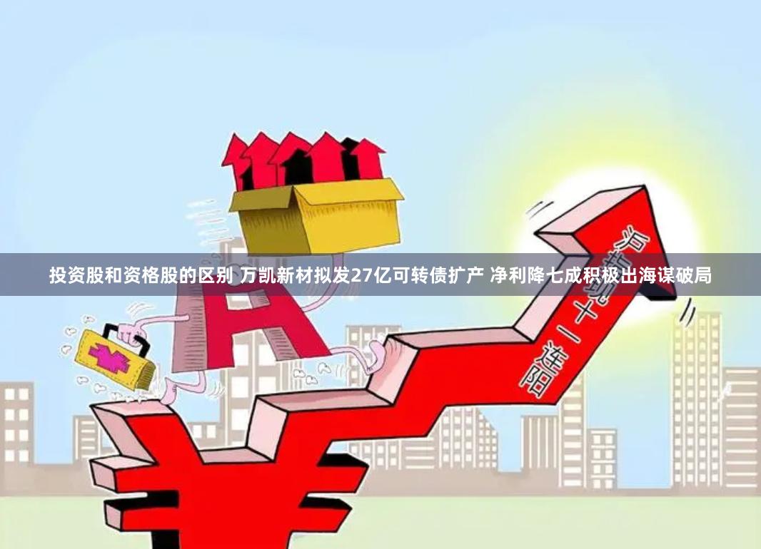 投资股和资格股的区别 万凯新材拟发27亿可转债扩产 净利降七成积极出海谋破局