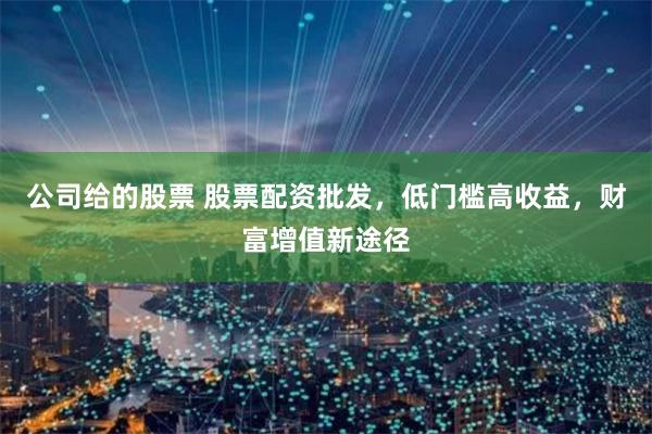 公司给的股票 股票配资批发，低门槛高收益，财富增值新途径