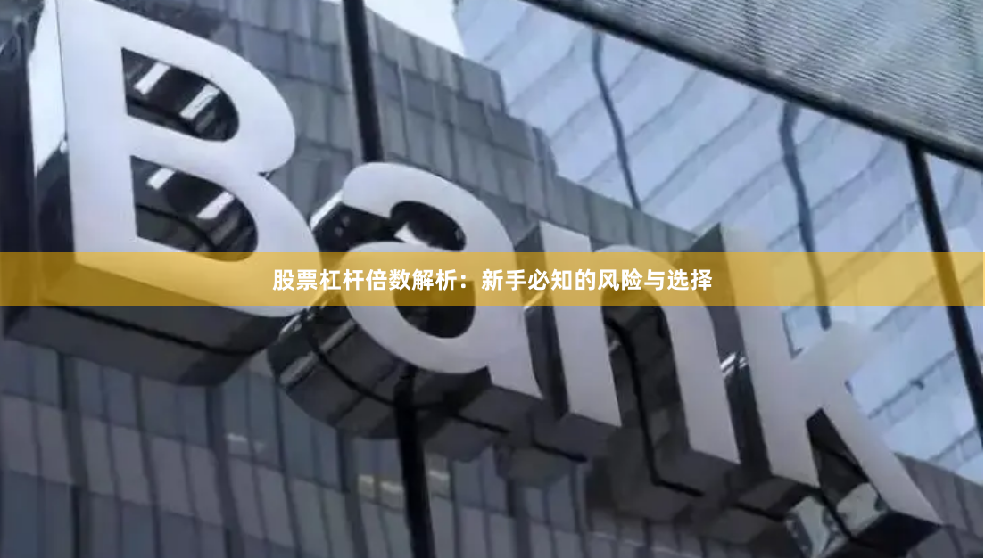 股票杠杆倍数解析：新手必知的风险与选择