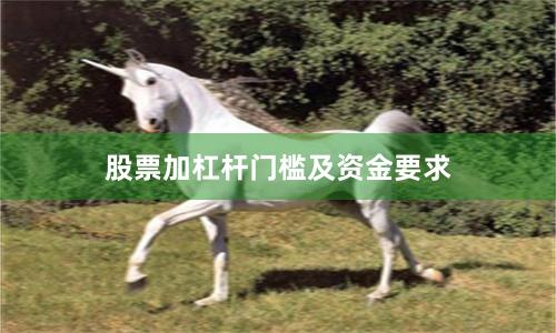 股票加杠杆门槛及资金要求